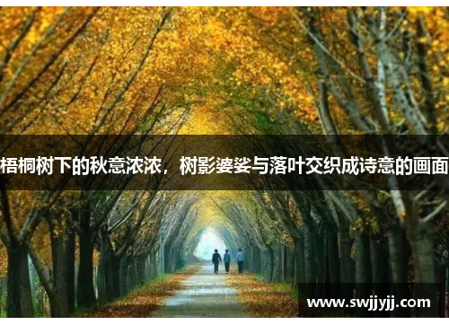 梧桐树下的秋意浓浓，树影婆娑与落叶交织成诗意的画面