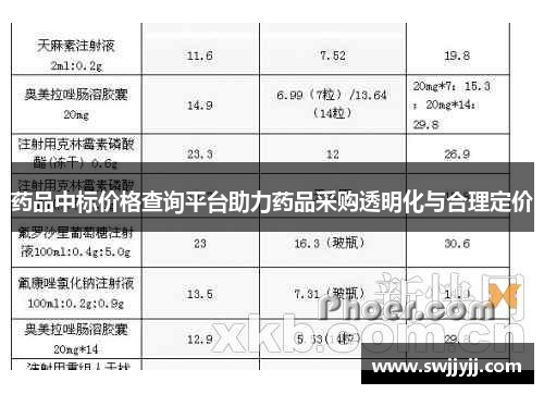药品中标价格查询平台助力药品采购透明化与合理定价